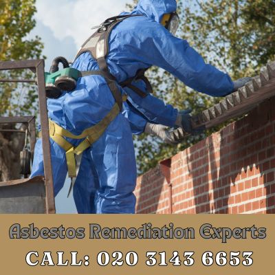 Asbestos Remediation Experts Esher