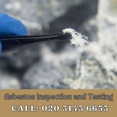 Comprehensive Asbestos Inspection and Testing Services in Esher